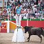 Tauste recortadores arte y emocion (19)